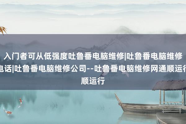 入门者可从低强度吐鲁番电脑维修|吐鲁番电脑维修电话|吐鲁番电脑维修公司--吐鲁番电脑维修网通顺运行